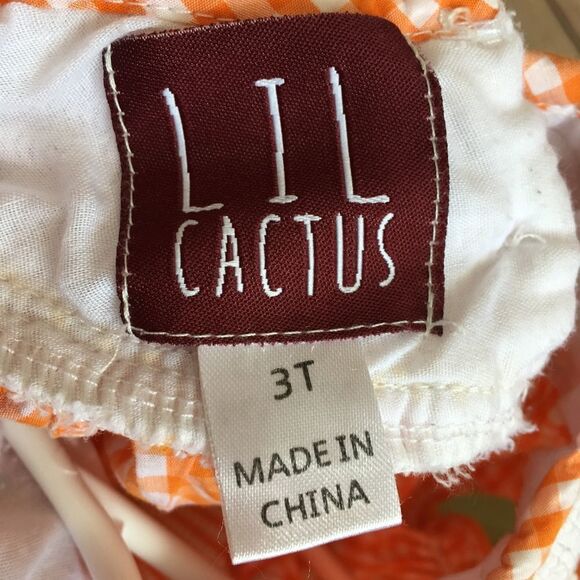 LIL CACTUS SMOCKED DRESS IN ORANGE AND WHITE GINGHAM - Picture 5 of 5